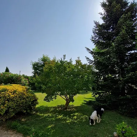 Maison 10 Personnes Golf - Hippodrome
